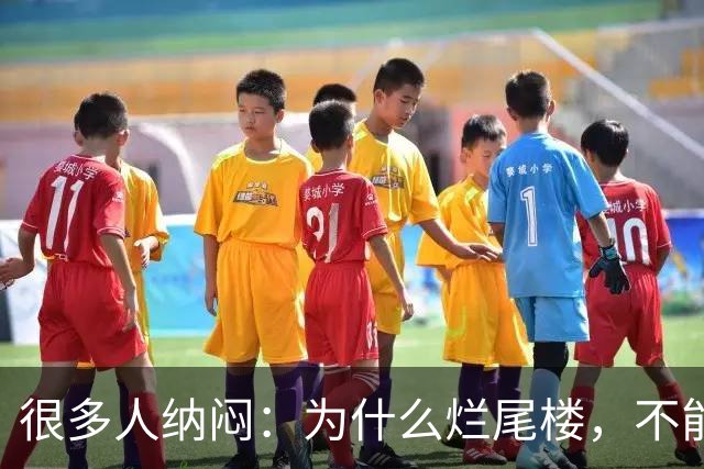很多人纳闷：为什么烂尾楼，不能让别的开发商接手重新开发？