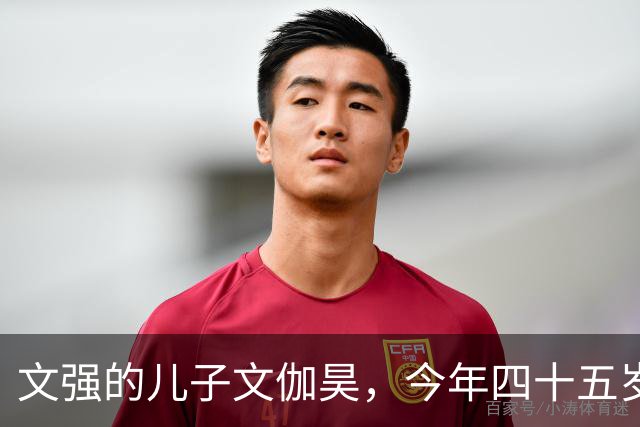文强的儿子文伽昊，今年四十五岁了，定居在重庆，早已撕掉了