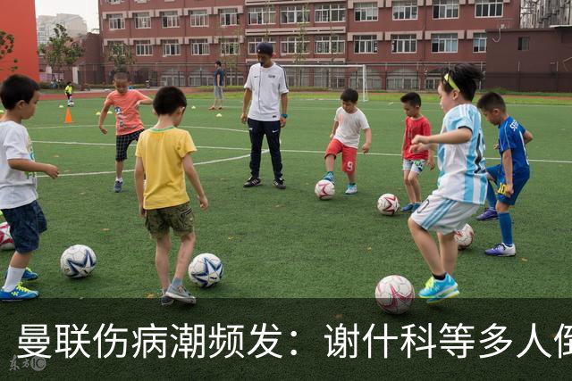曼联伤病潮频发：谢什科等多人倒下，管理层拟学布莱顿