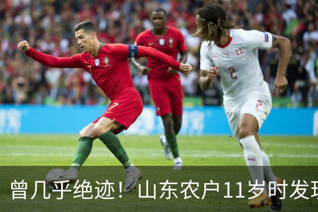 曾几乎绝迹！山东农户11岁时发现1棵幼苗，花34年令它走出绝境