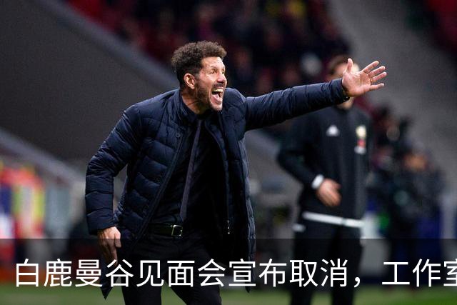 白鹿曼谷见面会宣布取消，工作室公布补偿方案！中使馆：泰国近期发生多起中国公民入境后失踪案件，还出现针对演艺人员的拍摄演出邀约骗局