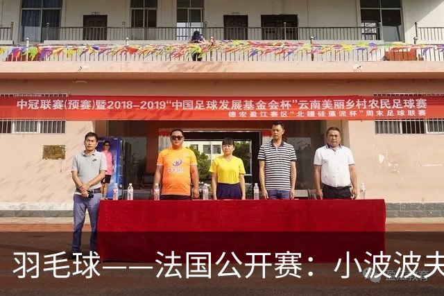 羽毛球——法国公开赛：小波波夫男单夺冠