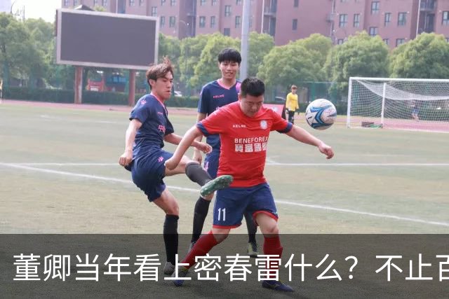 董卿当年看上密春雷什么？不止百亿身家，豪门滤镜碎了才看清真相