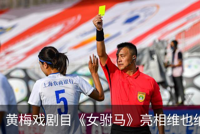 黄梅戏剧目《女驸马》亮相维也纳“中国戏演出季”