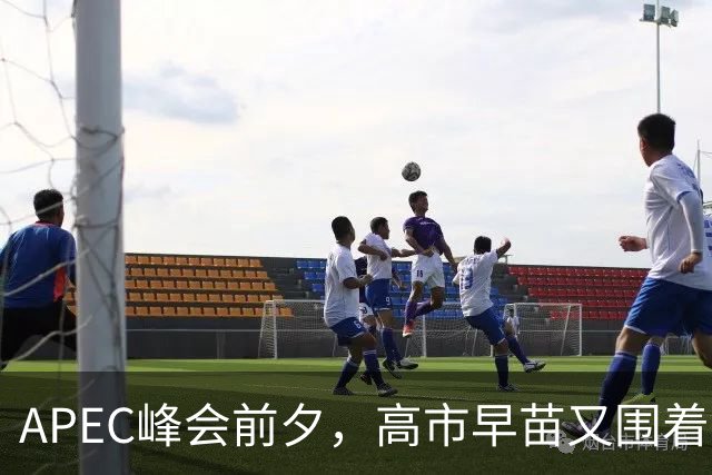 APEC峰会前夕，高市早苗又围着台湾问题做文章，背后的算计不简单